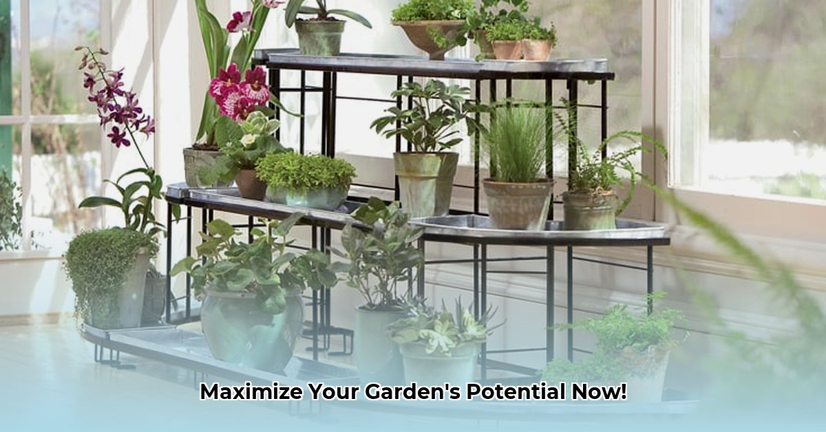 tractor-supply-plant-stands